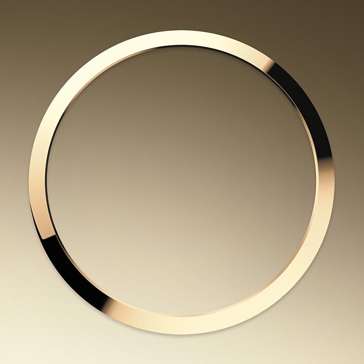 Explorer M124273-0001 - L’Oyster Perpetual Explorer 36 dà slancio e leggerezza alle linee sobrie e decise che fin dalle origini hanno reso questo modello un’icona. La lunetta liscia in oro giallo è una caratteristica resistente ed elegante, in perfetta armonia con l’iconica tradizione dell’Explorer. | L'Angolo delle Ore