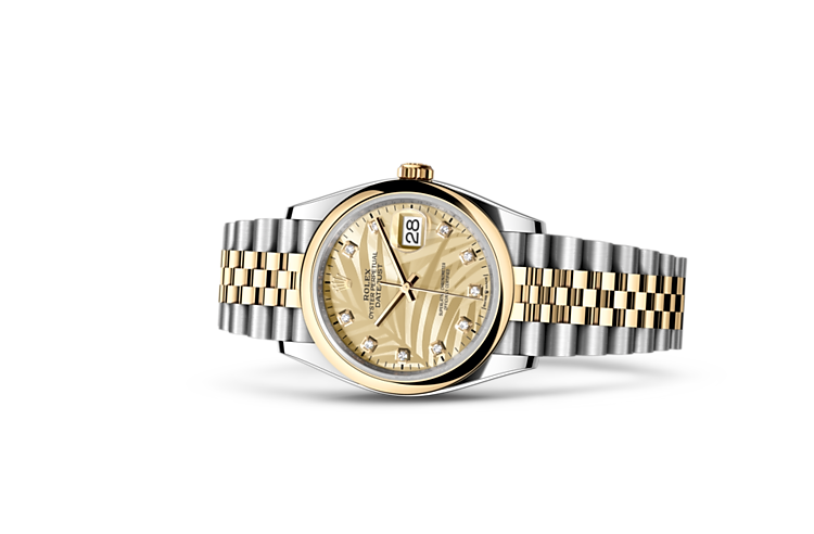 Bicolor datejust 2025
