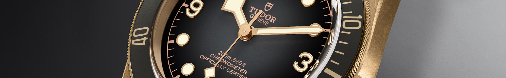 Collezione Tudor Black Bay Bronze ad Novara
