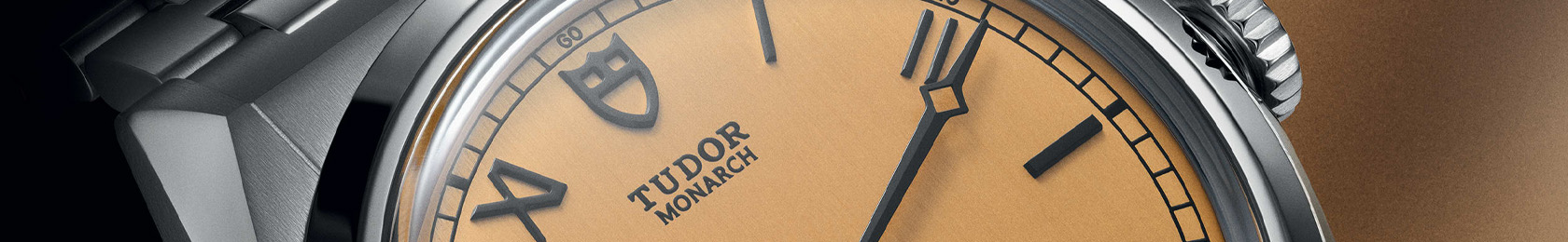 Collezione Tudor TUDOR Monarch ad Novara