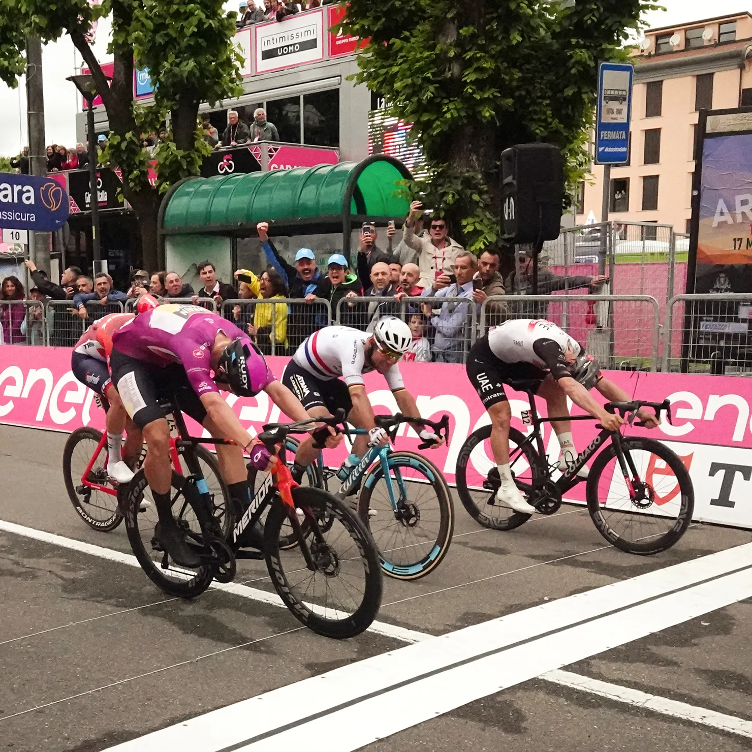 TUDOR - GIRO D’ITALIA
