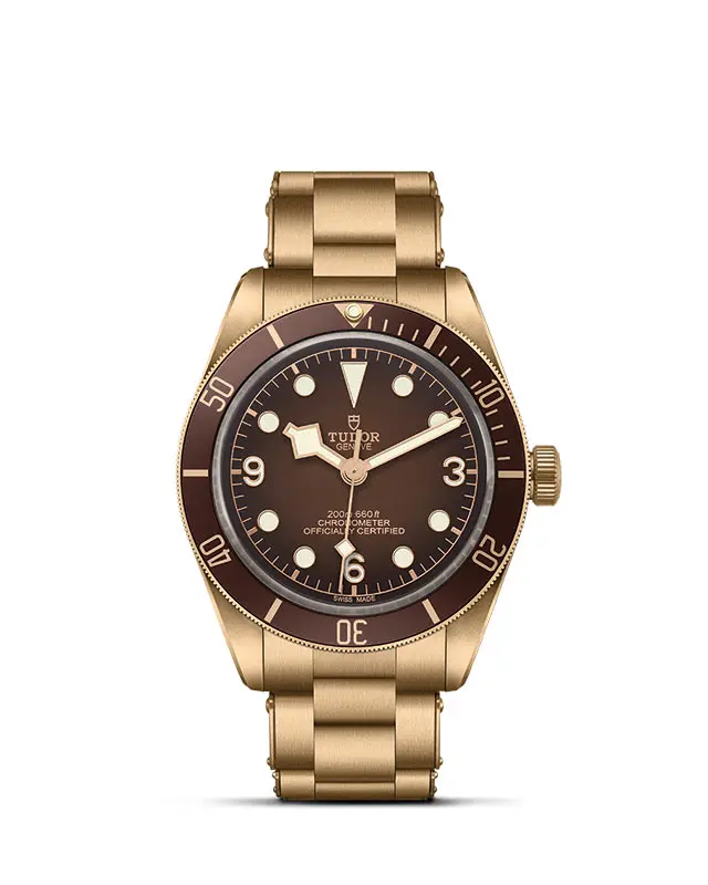 TUDOR Black Bay 58 Bronze - Rivenditore autorizzato a Novara