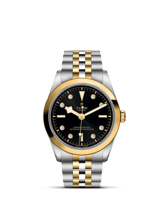 TUDOR Black Bay 36 S&G - Rivenditore autorizzato a Novara