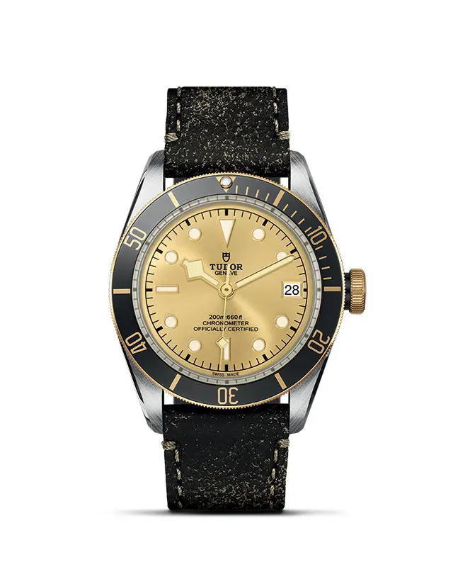 TUDOR Black Bay S&G - Rivenditore autorizzato a Novara