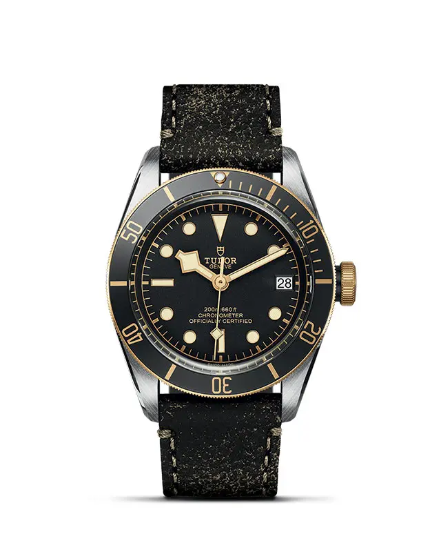 Collezione Tudor Black Bay - Black Bay S&G