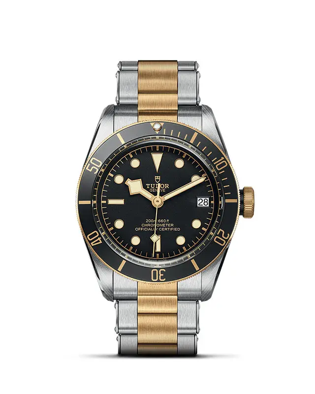 Collezione Tudor Black Bay - Black Bay S&G