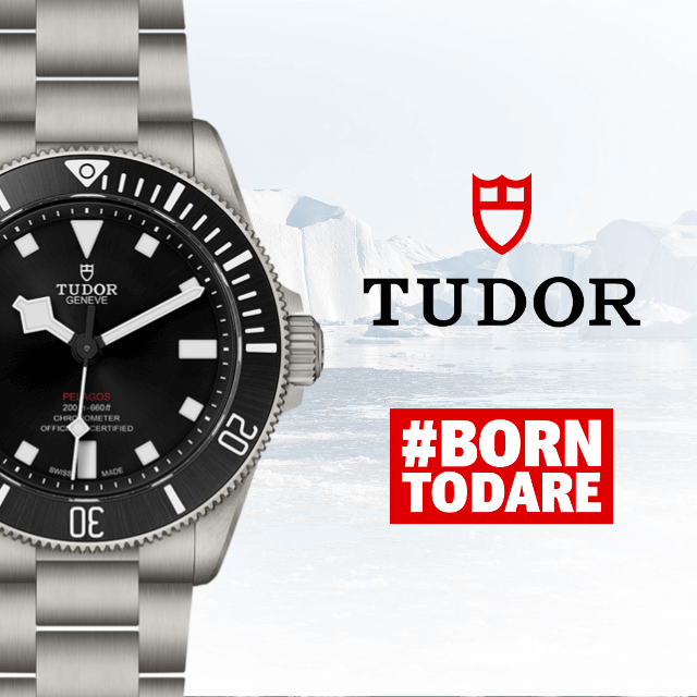 Collezione Tudor