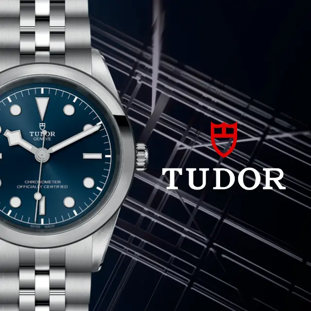 Collezione Tudor