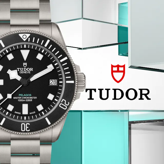 Collezione Tudor